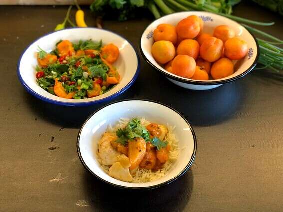 חזה עוף עם צ'אטני